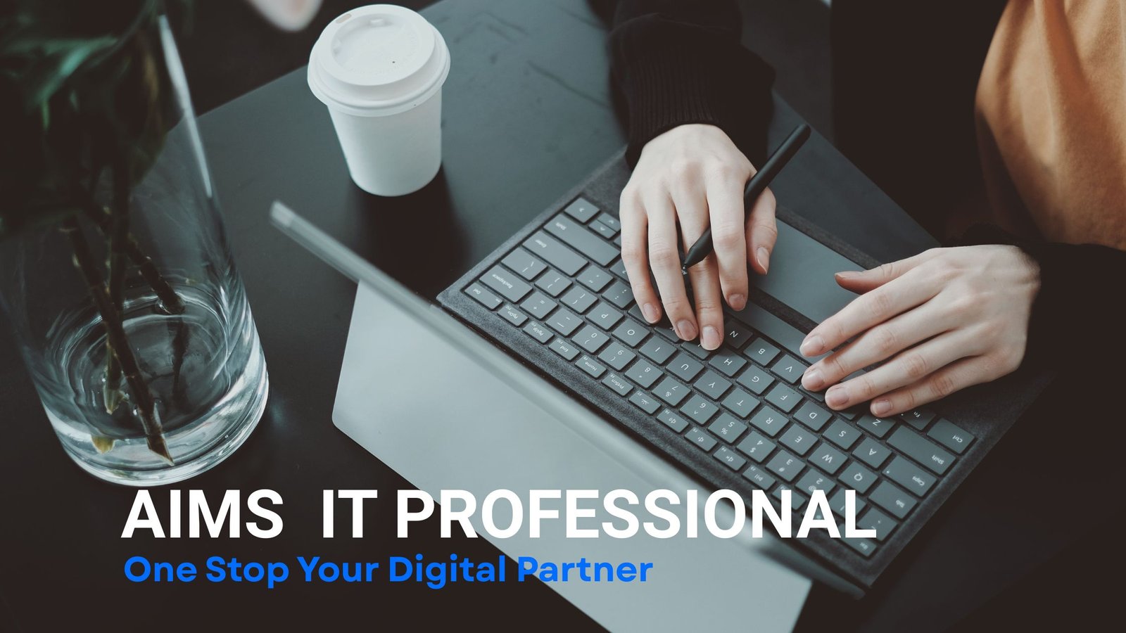 Aims IT Professional